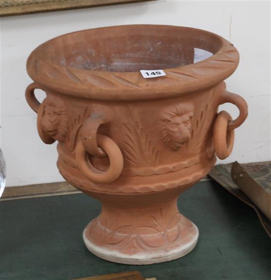 A terracotta urn shaped planter